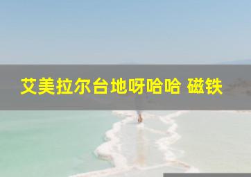 艾美拉尔台地呀哈哈 磁铁